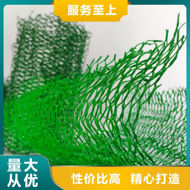 三维植被网_排水板实力商家
