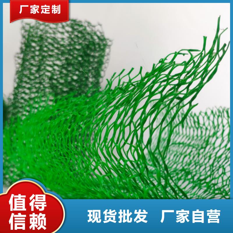 三维植被网植草格不断创新