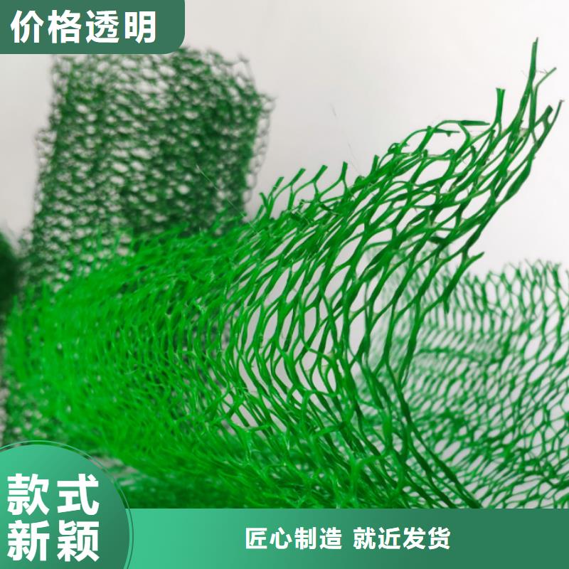 【三维植被网-植草格一对一为您服务】