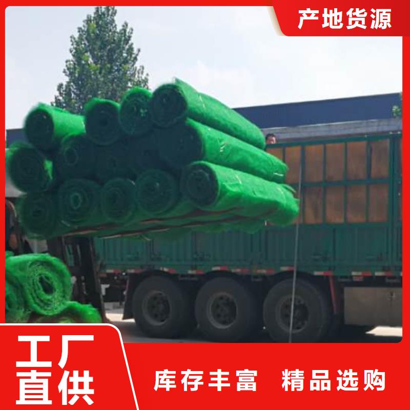 【三维植被网排水板生产厂家】