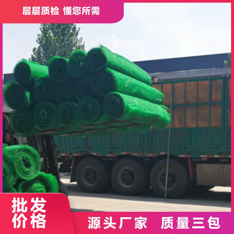三维植被网植草格工厂批发