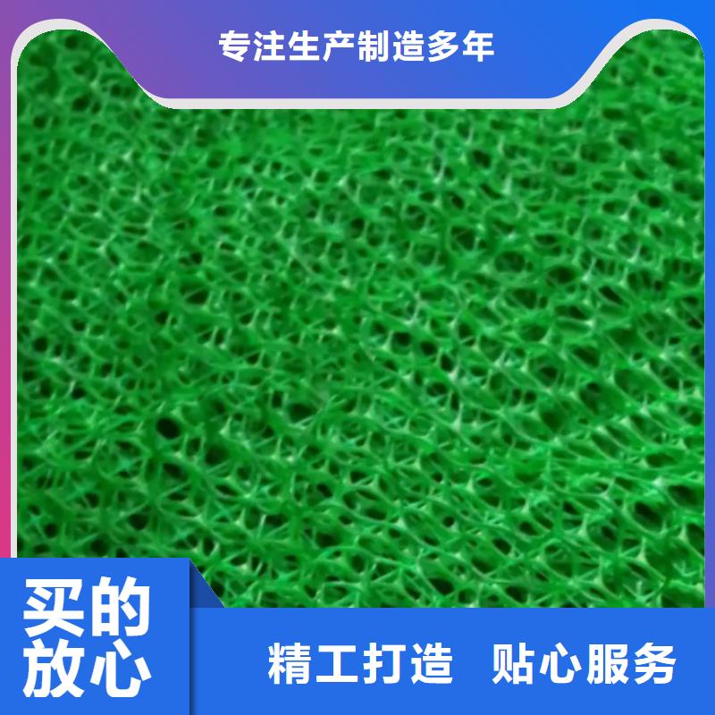 【三维植被网,排水板诚信厂家】