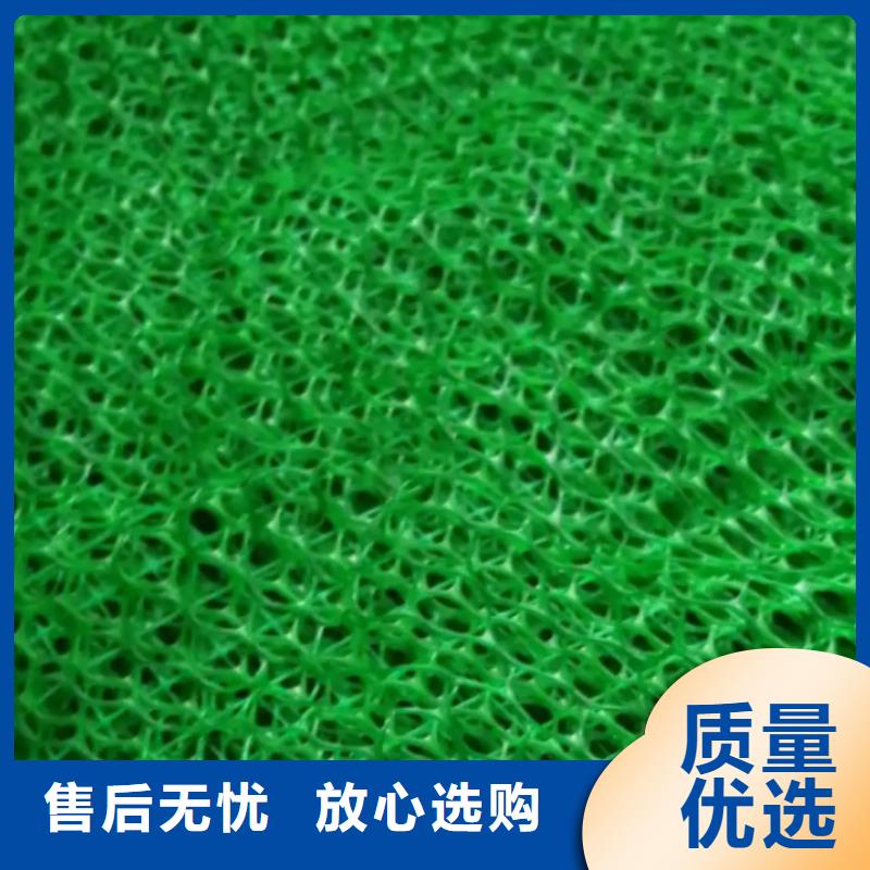 三维植被网水泥化粪池专注生产N年