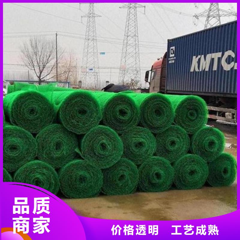 三维植被网防护虹吸排水收集系统批发商