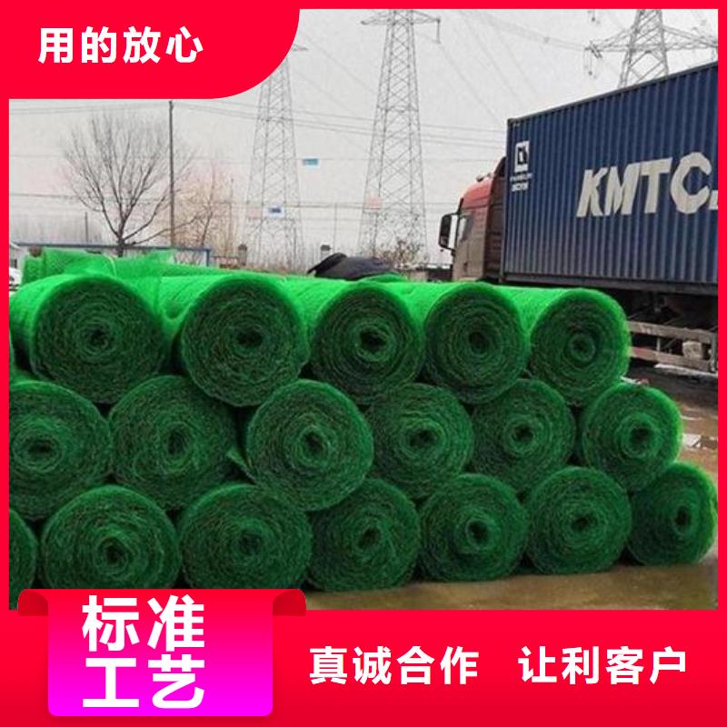 三维植被网【防护虹吸排水收集系统】定制零售批发