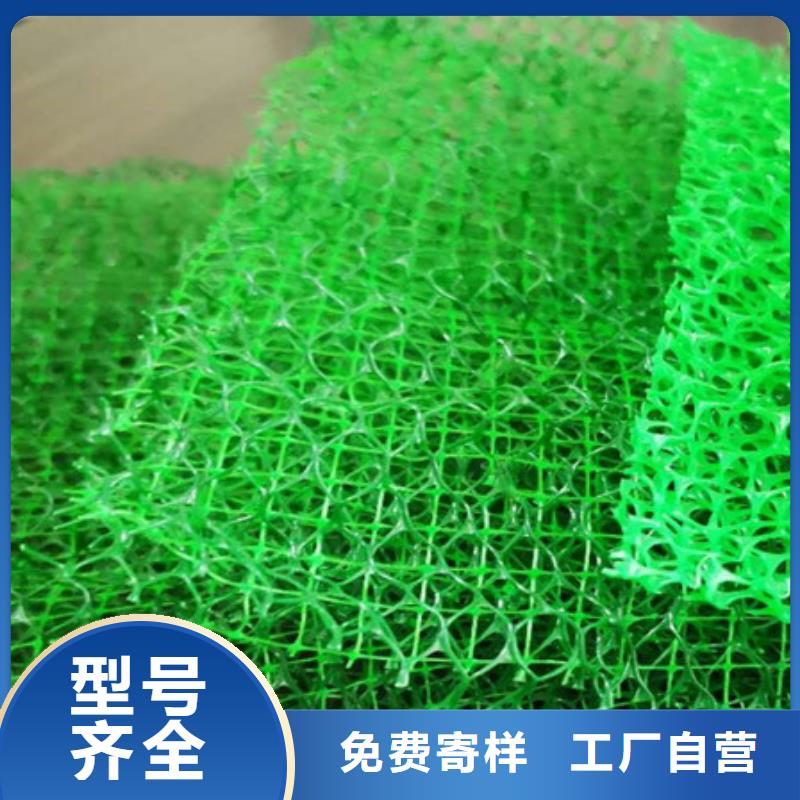 三维植被网水泥化粪池精选货源
