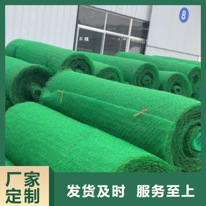 【三维植被网】排水板快速发货