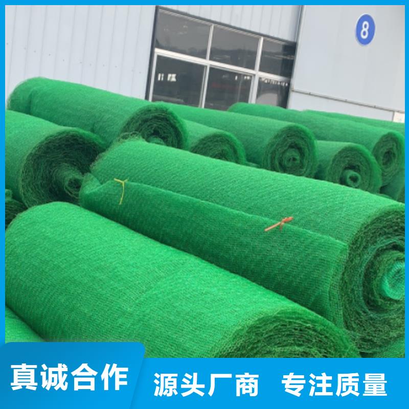 三维植被网排水板大品牌值得信赖