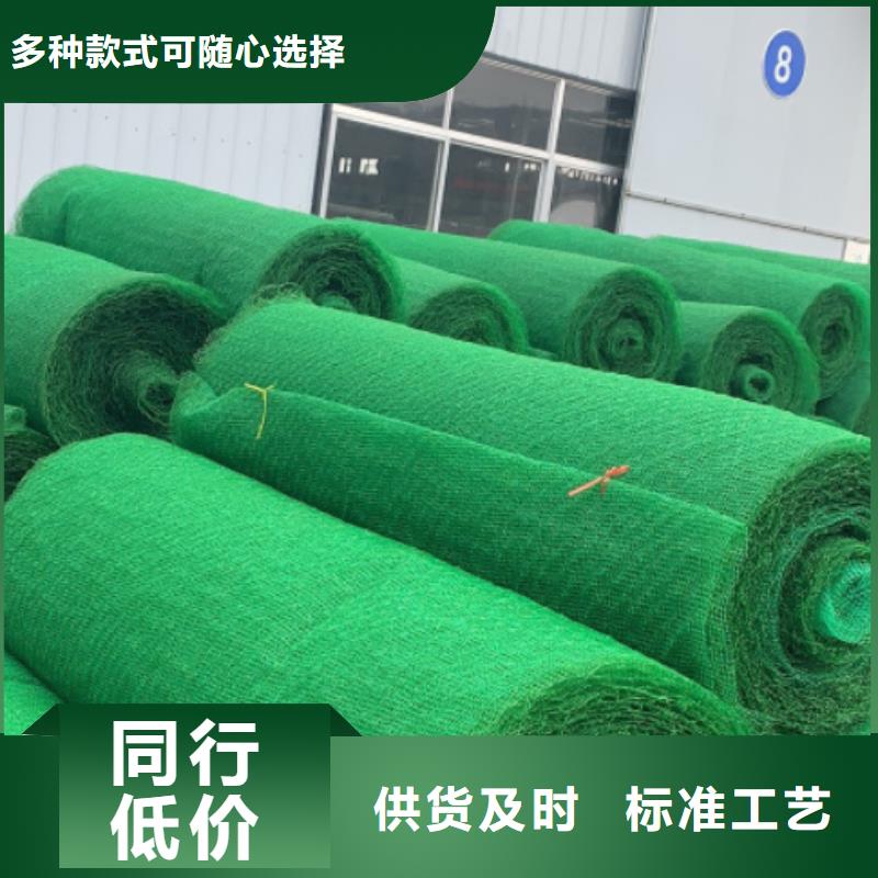 三维植被网植草格款式新颖