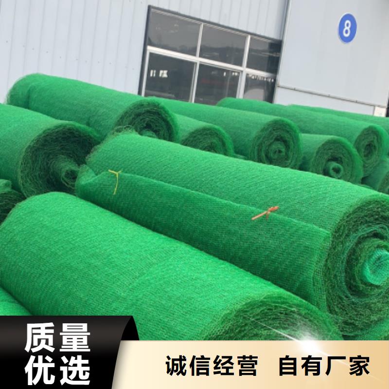 三维植被网化粪池水泥价格实惠