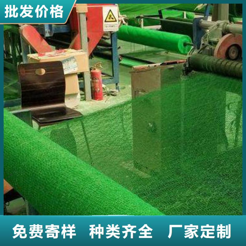 三维植被网防护虹吸排水收集系统支持定制