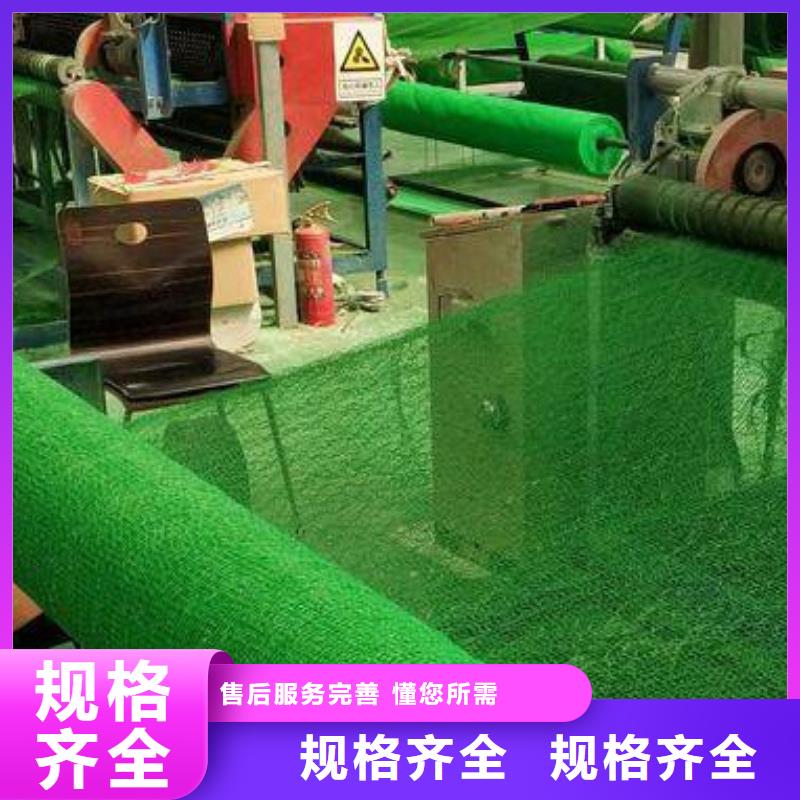 三维植被网-防护虹吸排水收集系统本地配送
