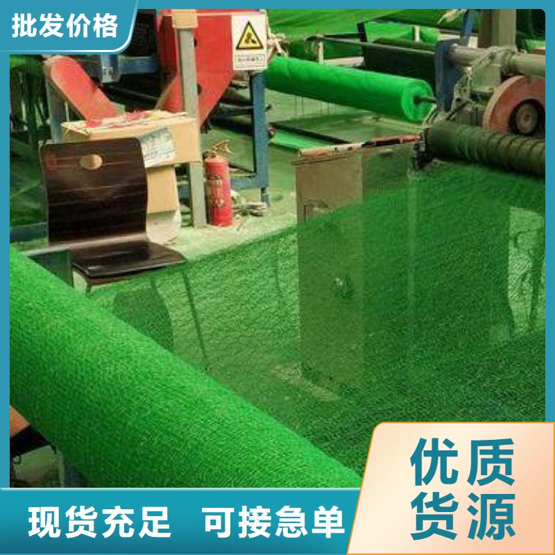三维植被网植草格现货满足大量采购