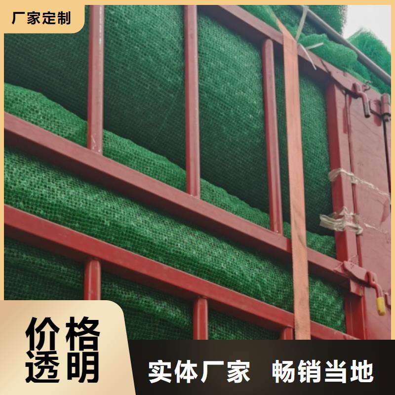 三维植被网-排水板信誉有保证