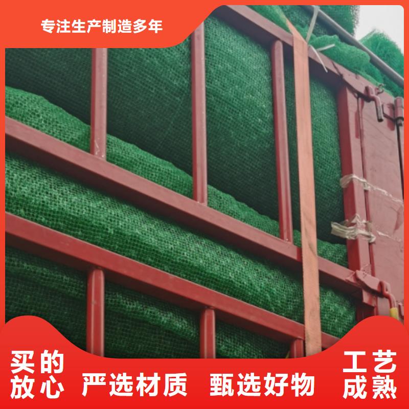 三维植被网【排水板】丰富的行业经验