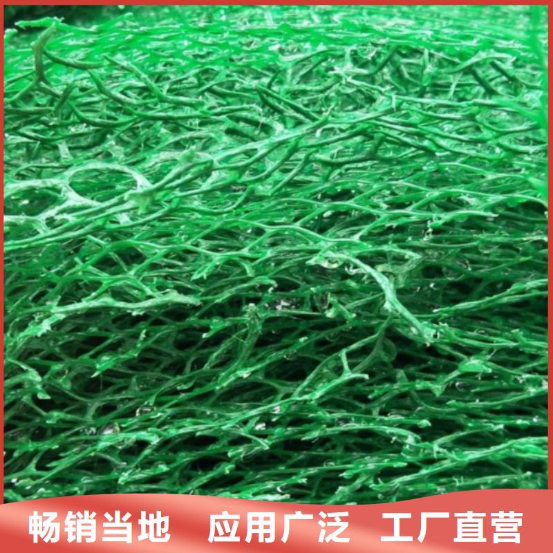 三维植被网植草格厂家直销