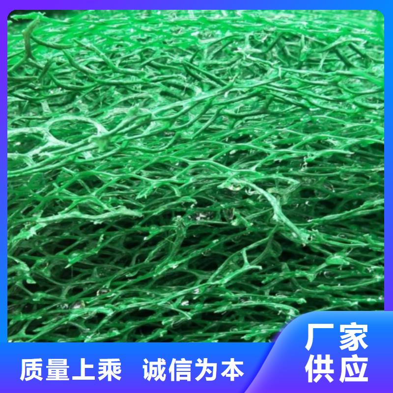 三维植被网防护虹吸排水收集系统产品细节参数