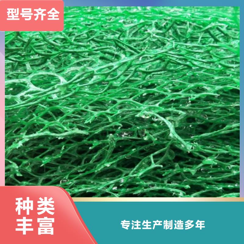 三维植被网化粪池水泥产地批发