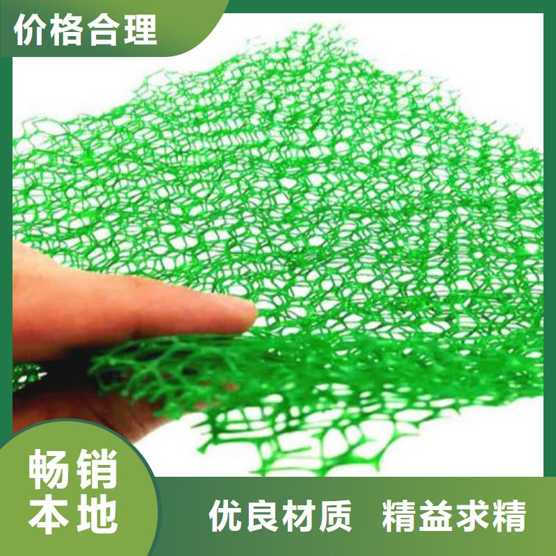 三维植被网,植草格现货充足