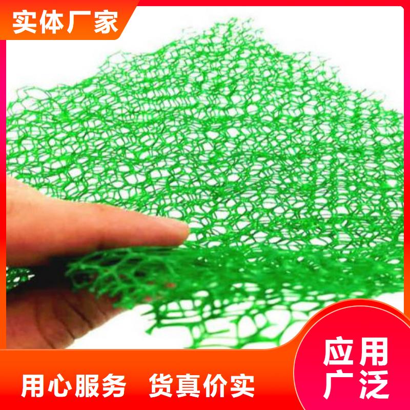 三维植被网排水板定金锁价