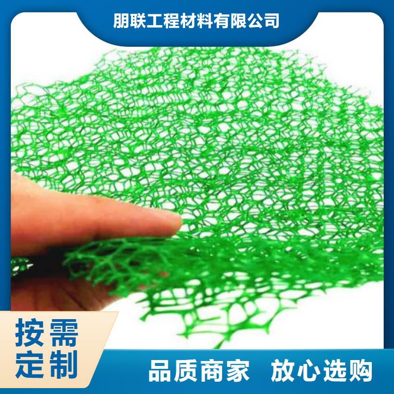 【三维植被网-植草格一对一为您服务】