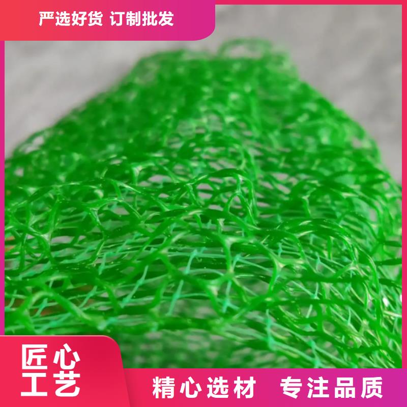 三维植被网植草格保障产品质量