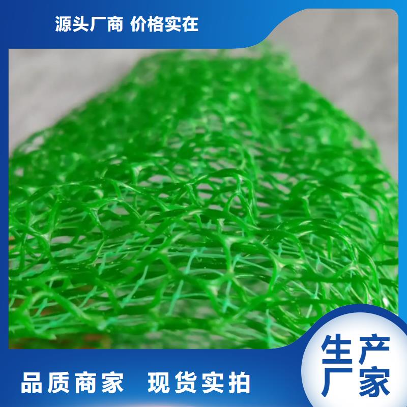 【三维植被网-植草格一对一为您服务】