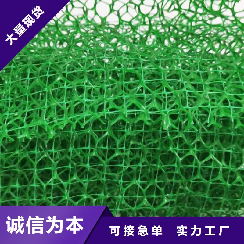 三维植被网水泥化粪池定制定做
