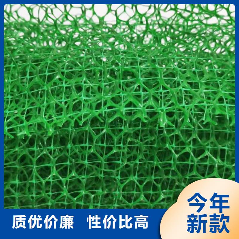 三维植被网_排水板实力商家供货稳定