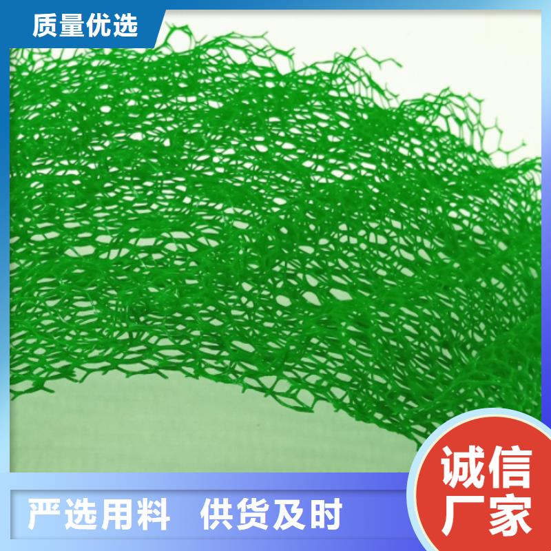三维植被网-排水板信誉有保证
