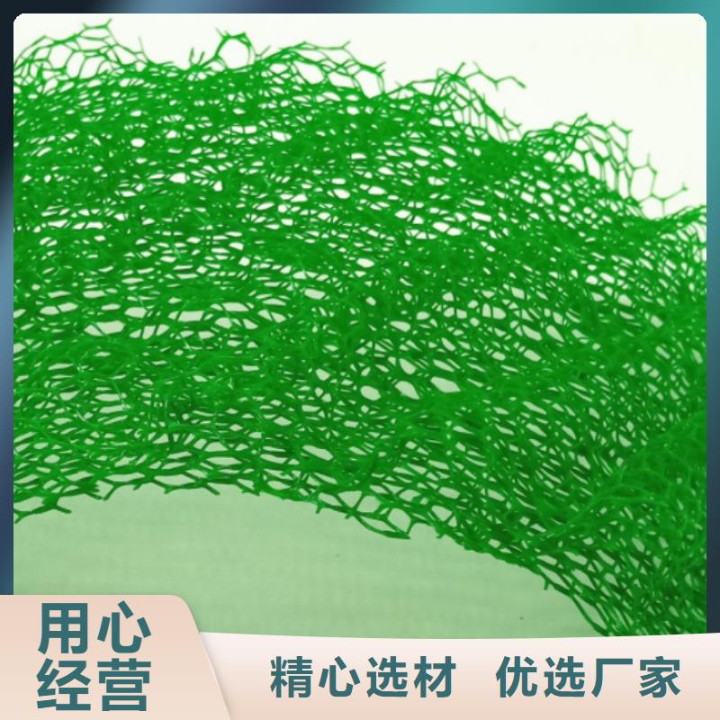 【三维植被网】排水板快速发货