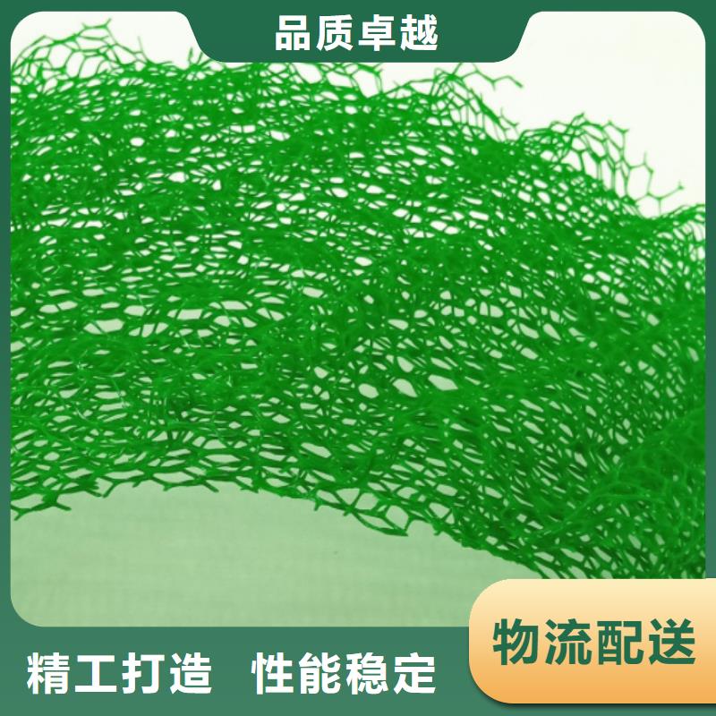 三维植被网【植草格】精益求精