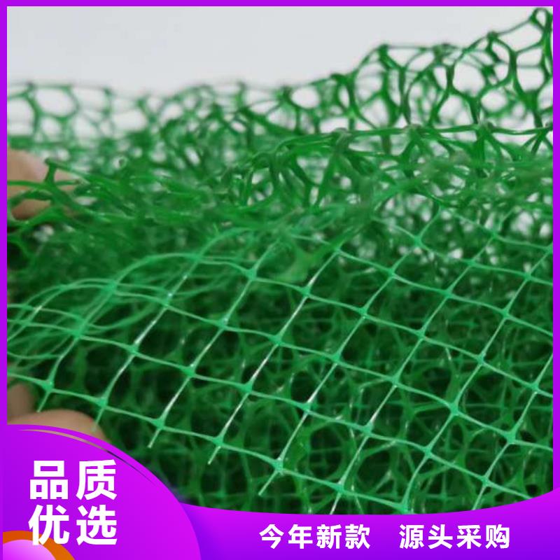 三维植被网植草格工厂批发