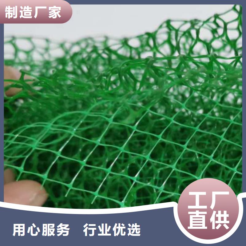 【三维植被网-植草格一对一为您服务】
