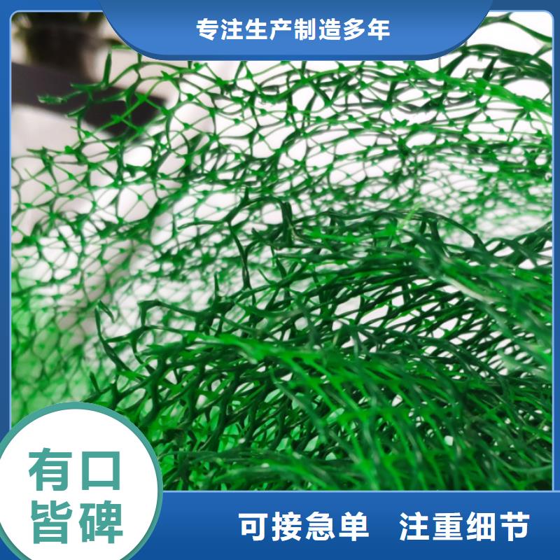 【三维植被网】植草格货源直供