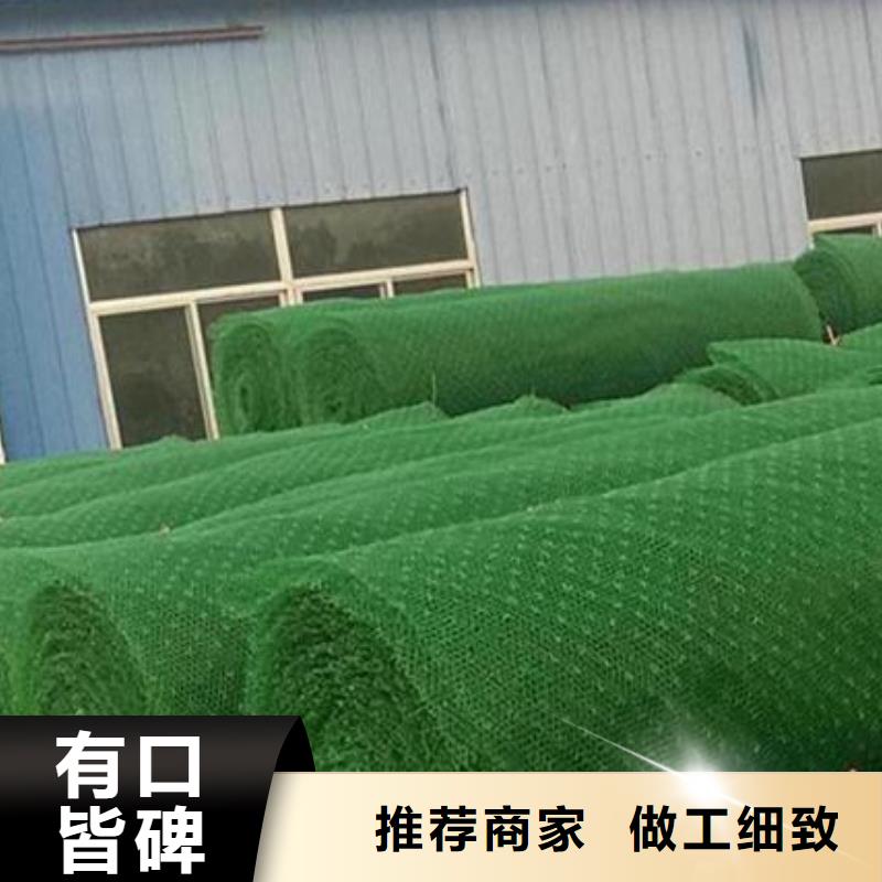 三维植被网植草格物流配货上门