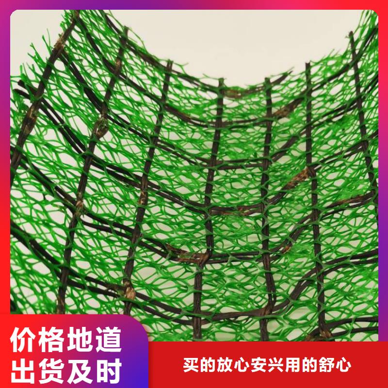 三维植被网水泥化粪池实力才是硬道理