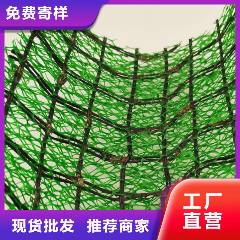 三维植被网水泥化粪池拒绝差价