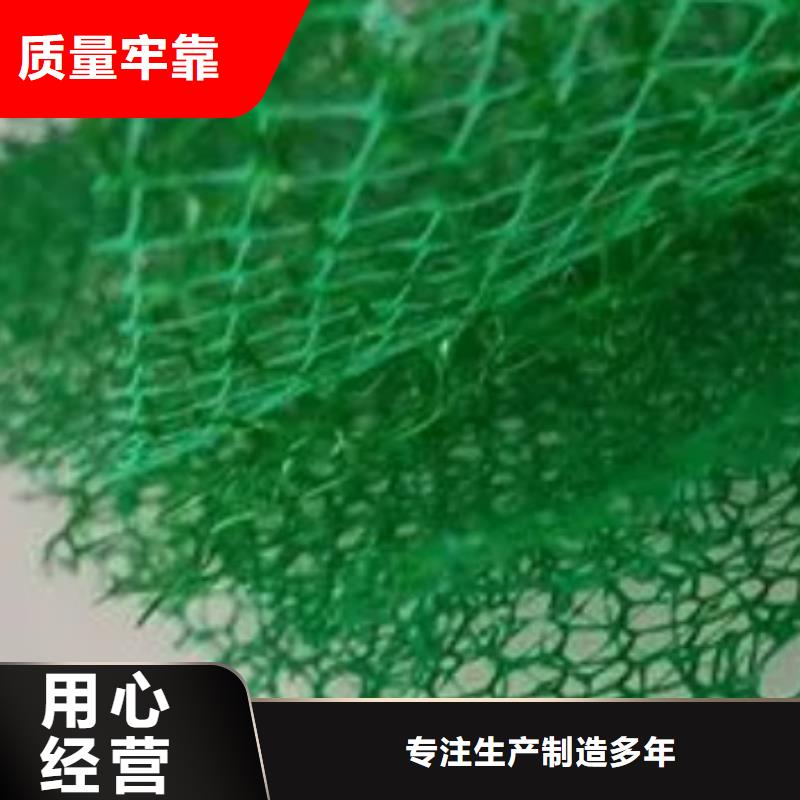 三维植被网【植草格】精益求精