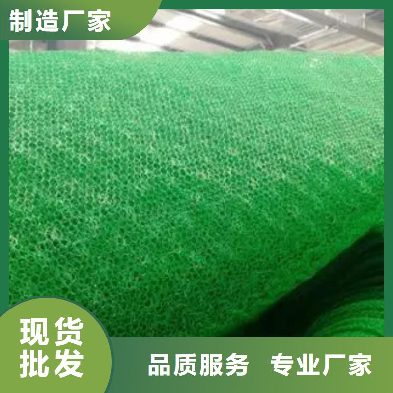 【三维植被网】排水板实力厂家直销