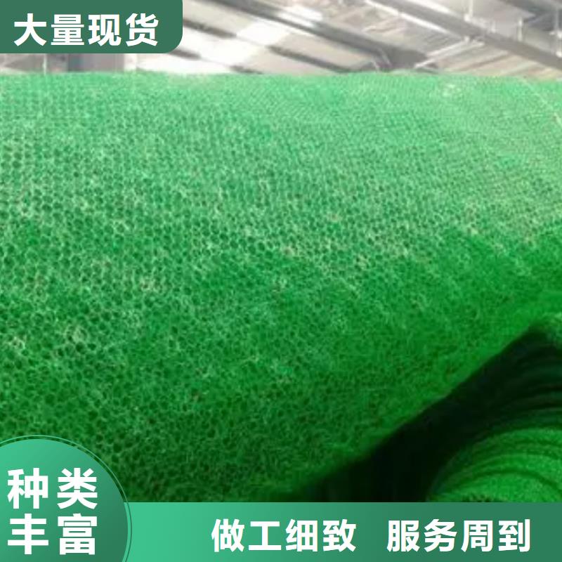 三维植被网-排水板信誉有保证