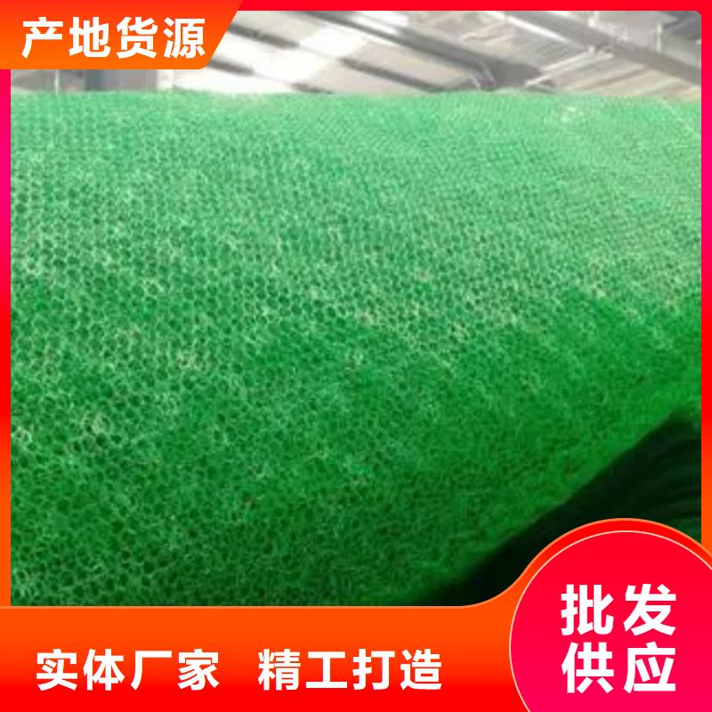 三维植被网防护虹吸排水收集系统源头工厂