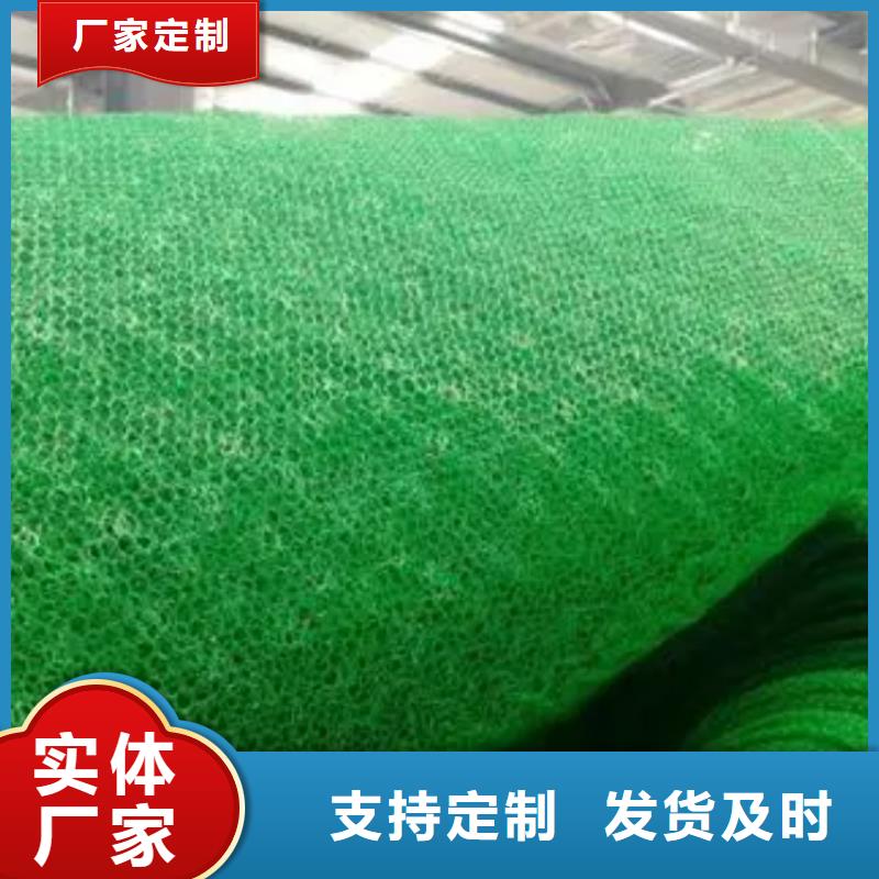 三维植被网_车库虹吸排水系统优质材料厂家直销
