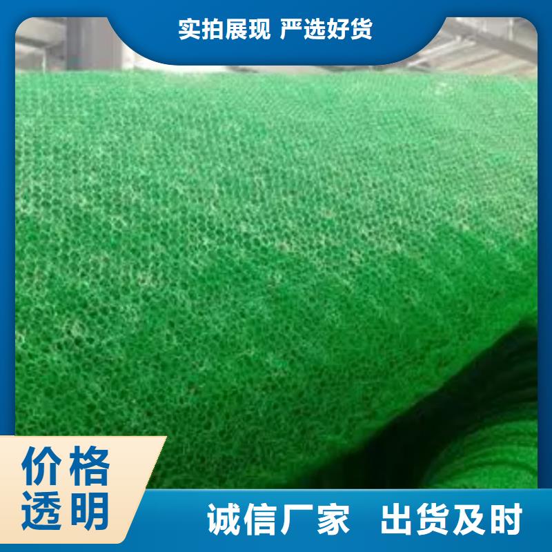三维植被网植草格真材实料加工定制