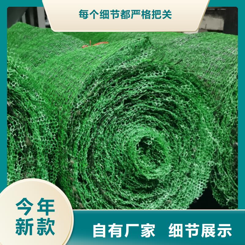 三维植被网【水泥化粪池】种类丰富