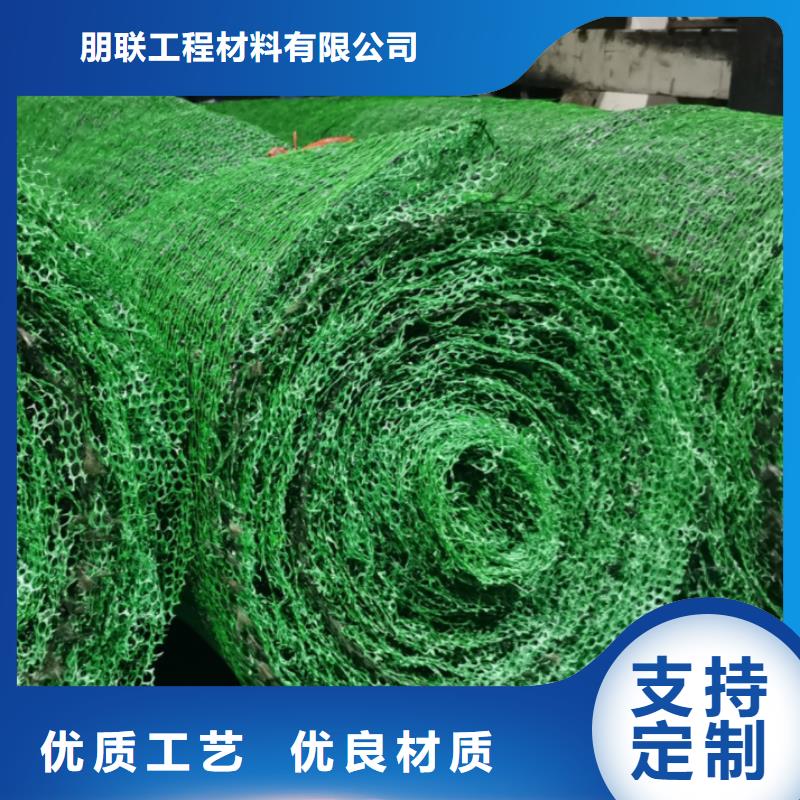 【三维植被网排水板一手货源源头厂家】
