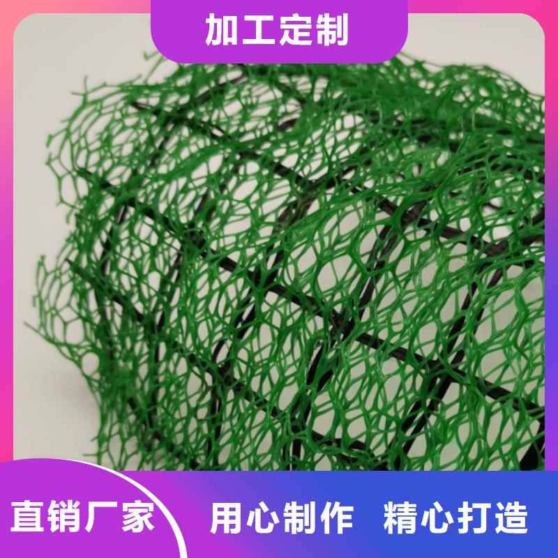 三维植被网植草格保障产品质量