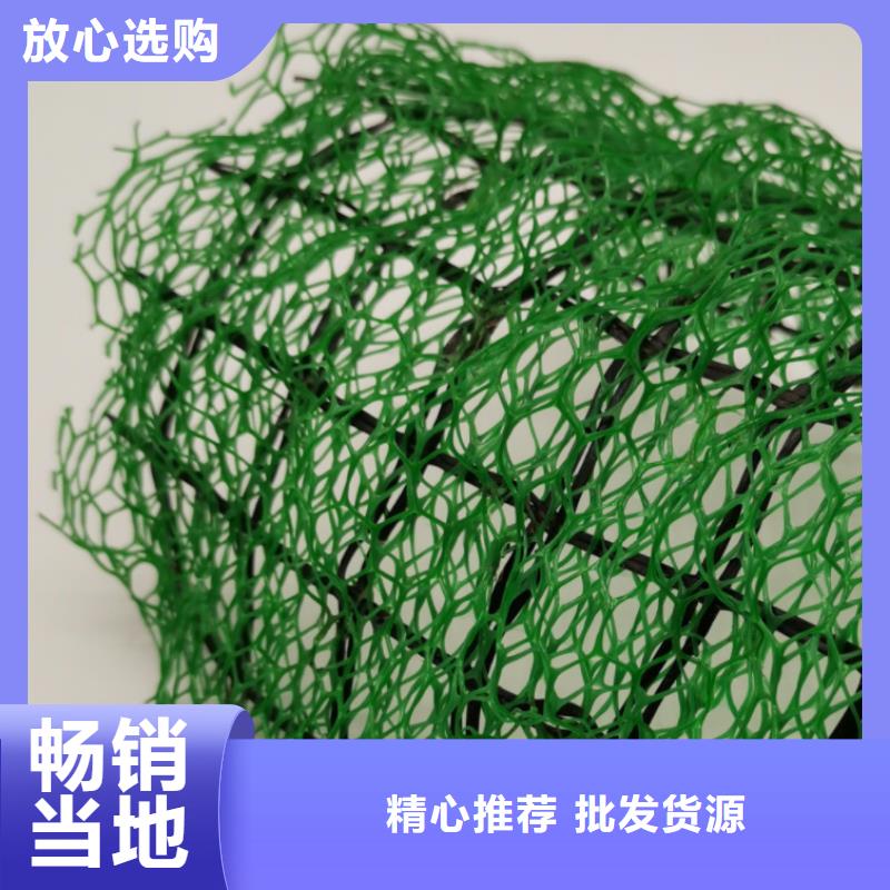 三维植被网植草格用心做品质