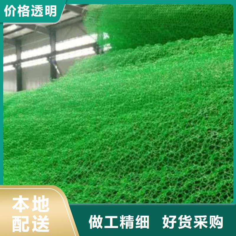 【三维植被网排水板匠心品质】