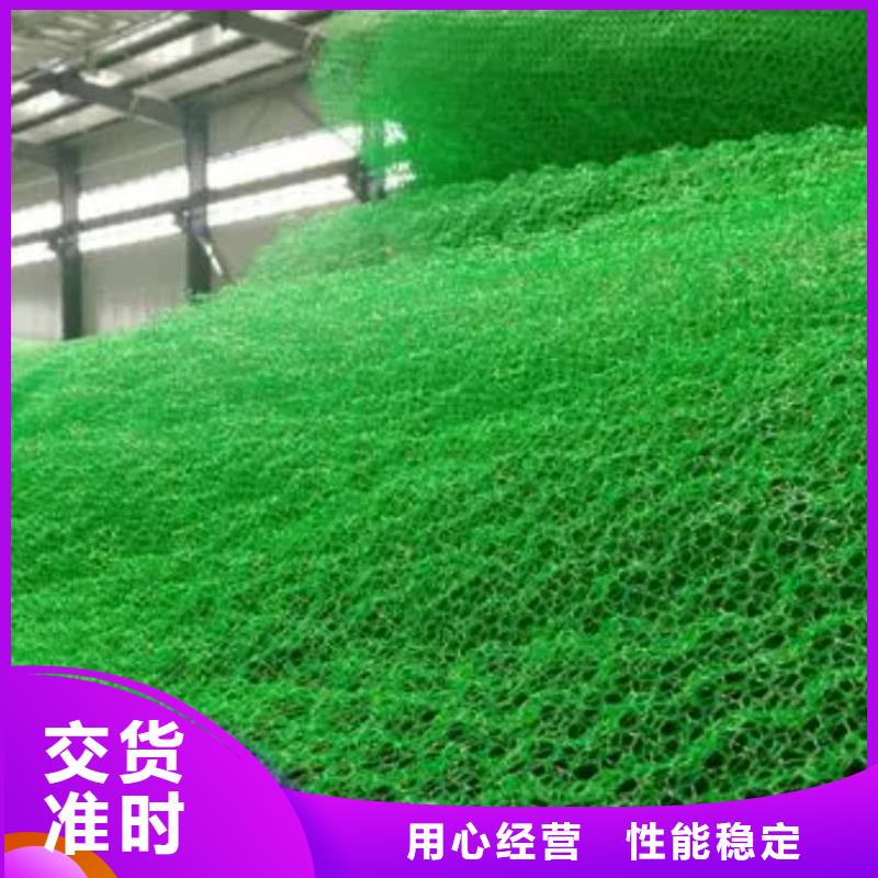 三维植被网-防护虹吸排水收集系统厂家直销大量现货